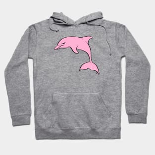 Sunset dolphin Hoodie